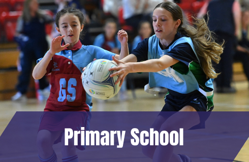 Primary School Button